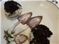 truffle canape